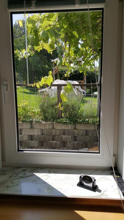 Thorup Guesthouse Knebel المظهر الخارجي الصورة